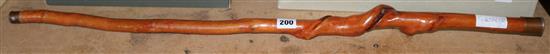 Old twisted walking stick WWI